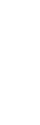 まごころを込めた美しい日本料理を